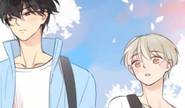 男男纯肉动漫,探索男男纯肉动漫的激情世界